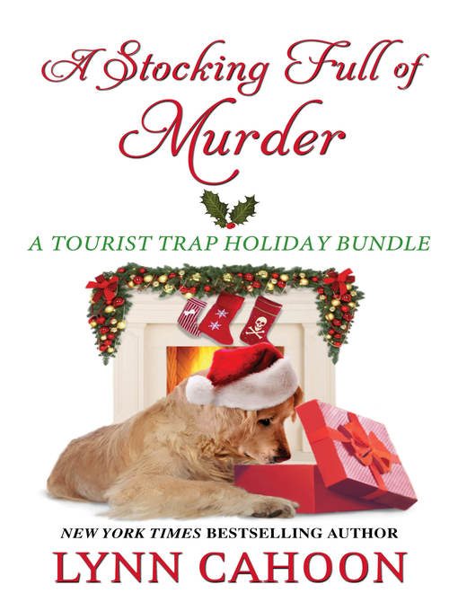 Title details for A Stocking Full of Murder by Lynn Cahoon - Available